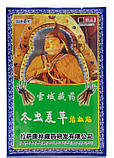 Пластир Тибетський ченців для суглобів від ревматизму, хондрозу, фото 3