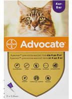 Bayer Advocate для кошек от 4 до 8 кг