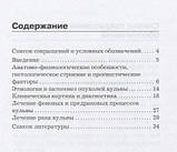 Венедиктова М. Р., Доброхотова Ю. Е., Морозова К. В., Тер-Ованесов М. Д. Пухлини зовнішніх статевих органів, фото 2