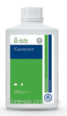 Фунгіцид Камелот 1 л Альфа Смарт Агро, фото 1