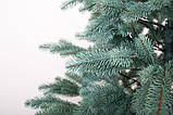 Ялинка лита "Ковалівська" Блакитна 2,30 м, фото 7