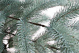 Ялинка лита "Президентська" Блакитна 1,50 м, фото 5