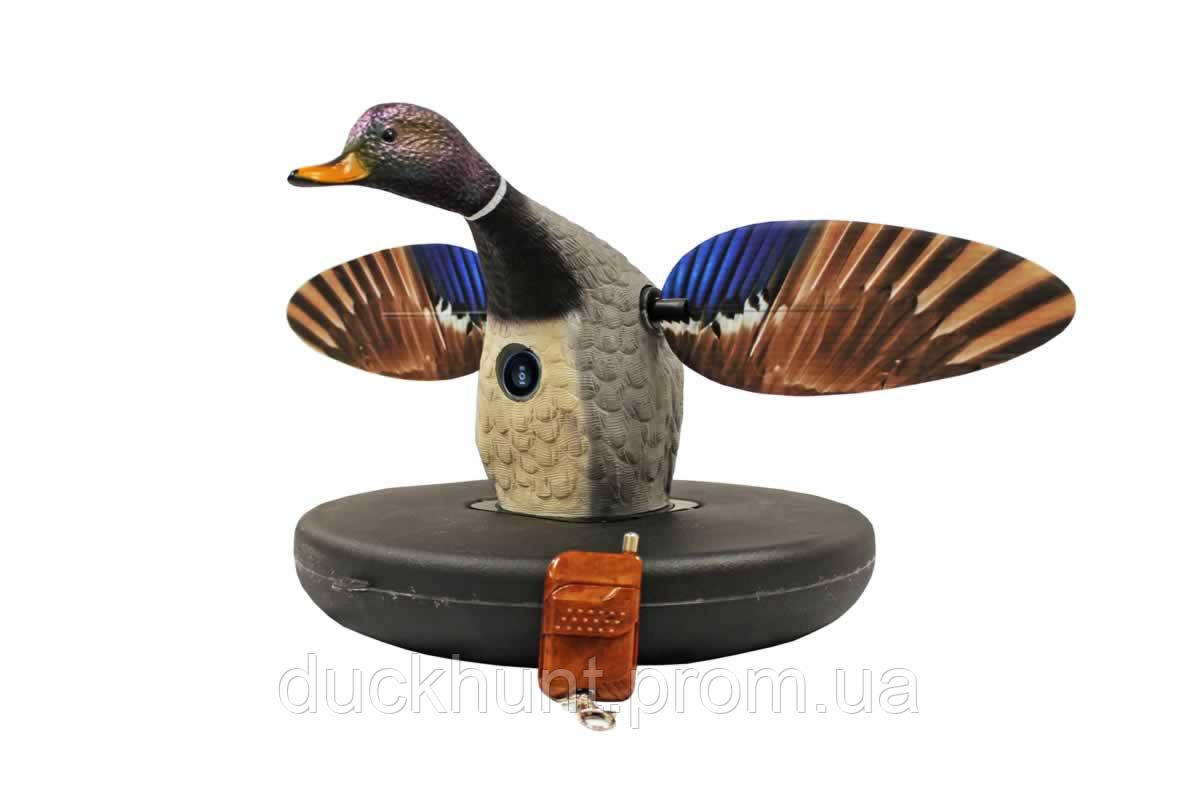 Чучело Mojo Elite Floater Mallard - фото 1 - id-p1304290020