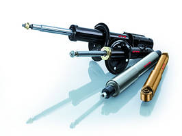 Автомобільні амортизатори задні