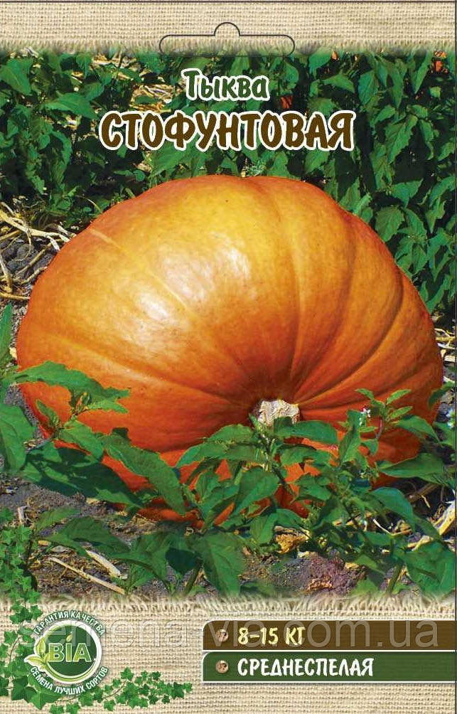 Гарбуз Стофунтовий (20 г) (в упаковці 10 шт.)
