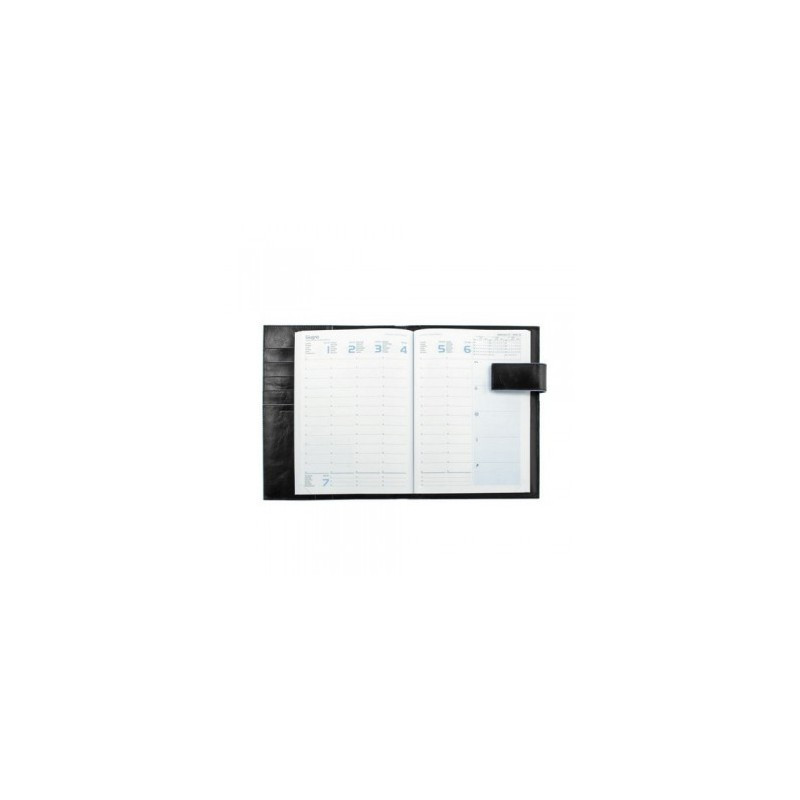 Щоденник Piquadro Blue Square AG1139B2_N, фото 1