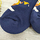 Шкарпетки чоловічі махрові середні новорічні GRAND 27-29р сині, фото 6