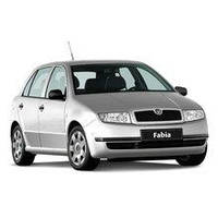 Skoda Fabia 1999-2007 рр.