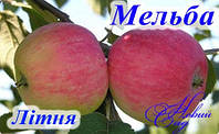 Яблуня Мельба