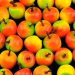 Яблука штучні маленькі жовто-червоні, декоративні