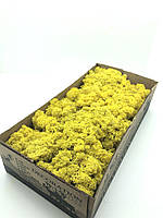 Стабилизированный норвежский мох высшего качества не очищенный SO Green желтый 0,5 кг (№61)