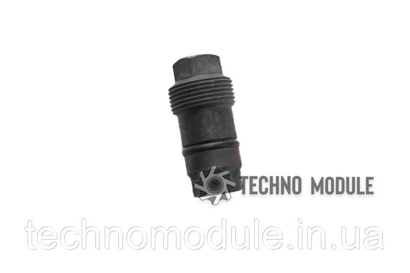 Болт заглушка FT250.57.128, фото 1