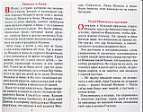 Райская Лилия. Рассказы о Пресвятой Богородице для семейного чтения, фото 4