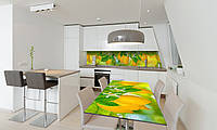 Наклейка 3Д виниловая на стол Zatarga «Лимоны» 600х1200 мм для домов, квартир, столов, кофейн, кафе