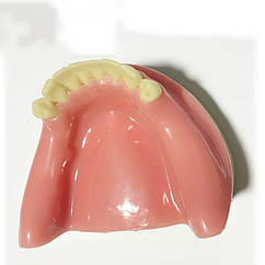 Модель для тренування імплантації зубів