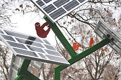 Сонячне дерево CitySolar Zoo Tree