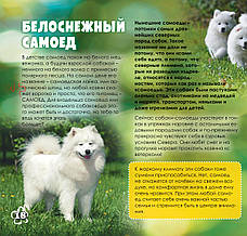 Дружболандія № 12-2020 - Норвегія (українська мова), фото 4