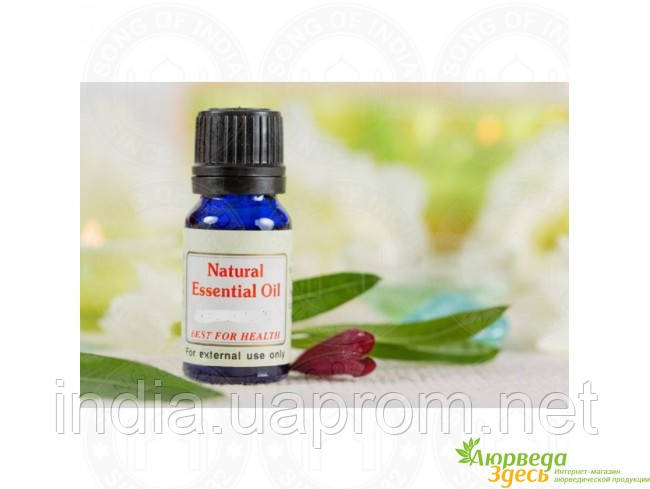 Ефірна олія Куркума, Турмерік 10 мл. R.Expo, Эфирное масло Куркума ...