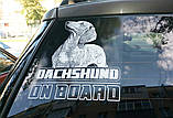 Наклейка на авто / машину Австралійська вівчарка (Ауссі) на борту (Australian Shepherd on Board), фото 7
