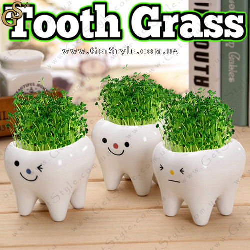 Керамический травянчик Зубик Tooth Grass 3 шт - фото 1 - id-p1305313864