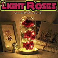 Светящиеся розы в футляре Light Roses