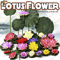 Декоративный цветок Лотоса Lotus Flower 5 шт