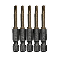 Бита 1/4 "TORX 20 х 50 мм, Cr-V - 5шт.