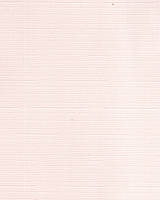 Чайна троянда