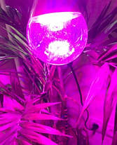 Світлодіодна фітолампа SL-3098F 12W Е27 220V (fito spectrum led) Код.59791, фото 5