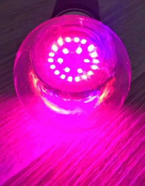 Світлодіодна фітолампа SL-3098F 12W Е27 220V (fito spectrum led) Код.59791, фото 1