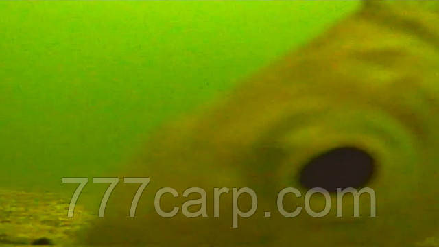 Подводная камера с ЗАПИСЬЮ для рыбалки Carp Cruiser СC7-iR15-DVR Fishing Camera для Рыбалки с 7" монитором - фото 7 - id-p1305710407