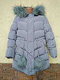 Куртка зимова для дівчинки з пухнастими бубонами ДШ, фото 3