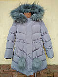 Куртка зимова для дівчинки з пухнастими бубонами ДШ, фото 2