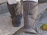 Жіночі черевики UGG Classic Short Boot Grey 1016223P, фото 5
