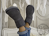 Жіночі черевики UGG Classic 2 Mini Grey 1016222, фото 4