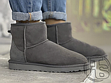Жіночі черевики UGG Classic 2 Mini Grey 1016222, фото 5