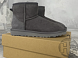Жіночі черевики UGG Classic 2 Mini Grey 1016222, фото 9