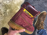 Жіночі черевики Caterpillar Colorado Boot Winter Bordo (с мехом) P710655, фото 8