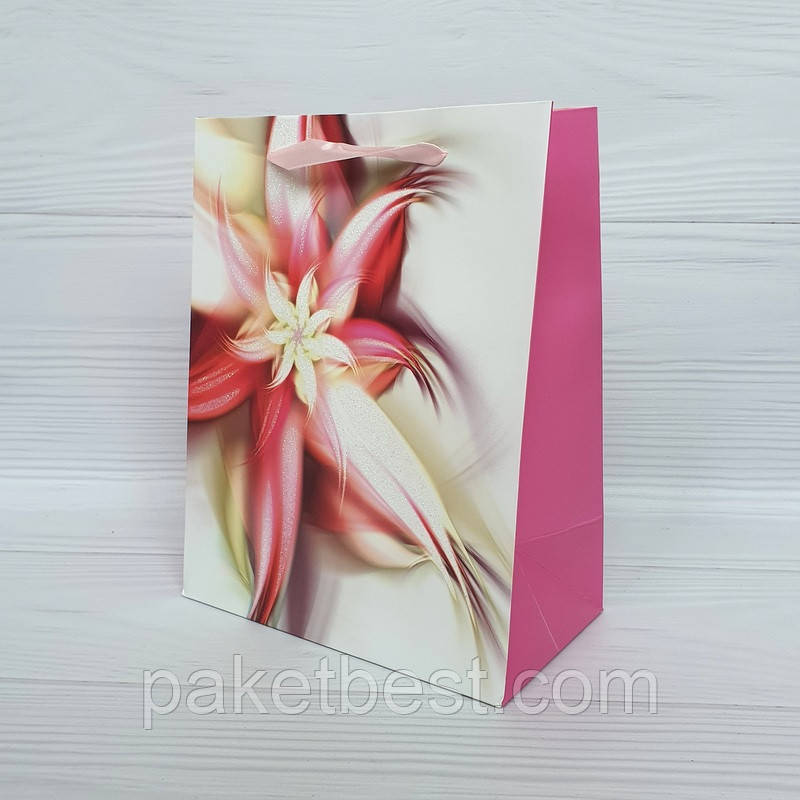 Пакет подарунковий Преміум (18х24х10) Середній