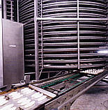 Спіральний охолоджувач шарів на деках 1000 кг/год, фото 5