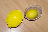 Контейнер пластиковий для зберігання лимона, фото 3