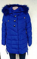 Куртка зимова темно-синя "З ґудзики" ДШ