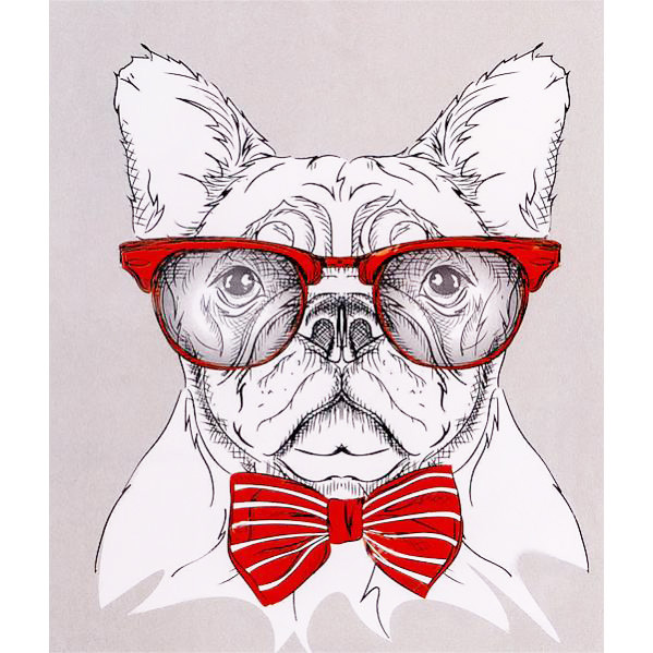 Картина за номерами 40х50 см DIY "Хіпстерске" собака в окулярах і метелику (FX 30438), фото 1