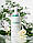 Очисний гель «Gel detergente Lamic» 250 мл, фото 4