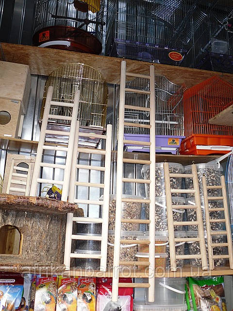 Драбина для папуги — 1 метр., фото 1