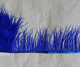Пір'яна тасьма з пір'я страуса. Колір синій. Перо 5-15см. Ціна за 0,5 м., фото 3