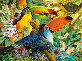 Пазли на 3000 елементів (92 x 68 см) Тукани (папуги, птиці) , (Castorland, Польща)