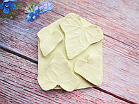 Набір молдів "Листя плюща" на платформі (р-р 4х4, 3,5х3,5, 3х2,7, 2,5х2,2 см), 4 шт