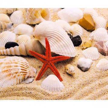 Картина за номерами 40х50 см DIY Червона морська зірка (FX 30443)