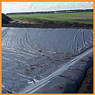 Плівка будівельна 80 мкм чорна 6*50 м для мульчування та будівництва, фото 6